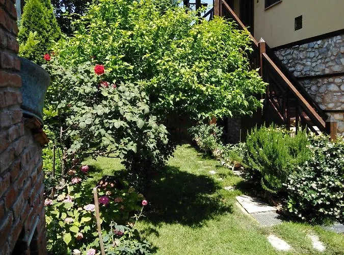 Livithron Rodon Apartamento *